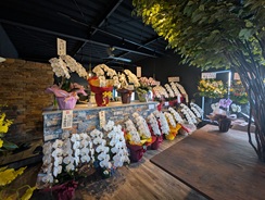 ファイル 1396-5.jpg